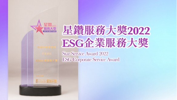ESG Corporate Service Award
